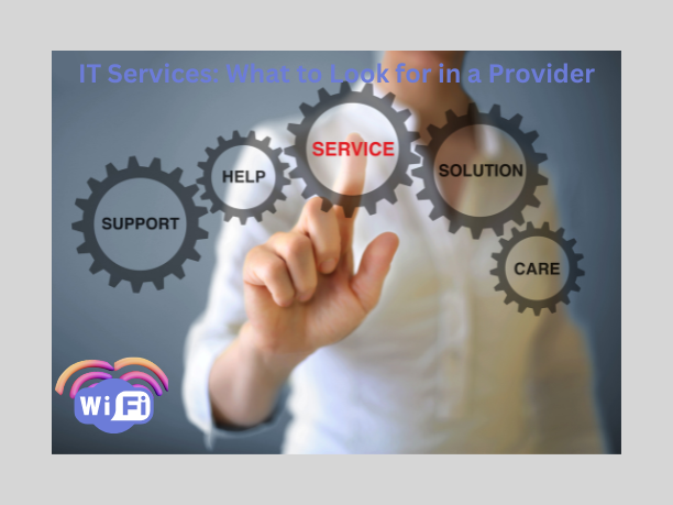 IT Services: What to Look for in a Provider